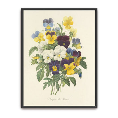 Pansies bouquet illustration by Pierre Joseph Redouté