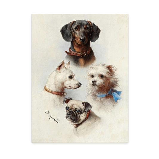 Four Dog Portraits (A Motley Crew) by Carl Reichert, gallery-wrapped canvas print