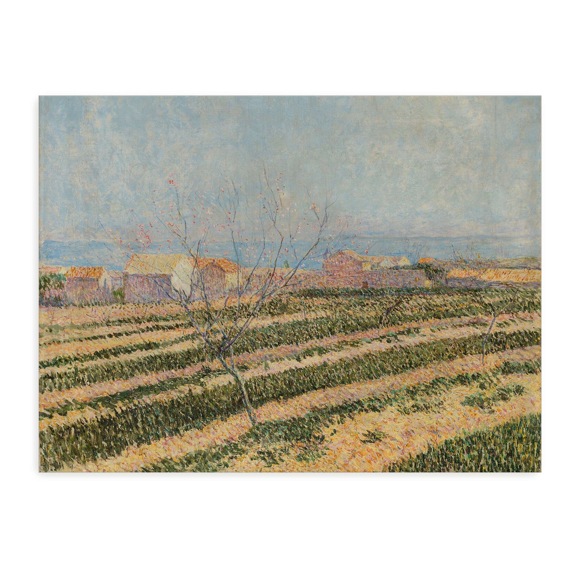 Countryside landscape with a tree by Paul Baum