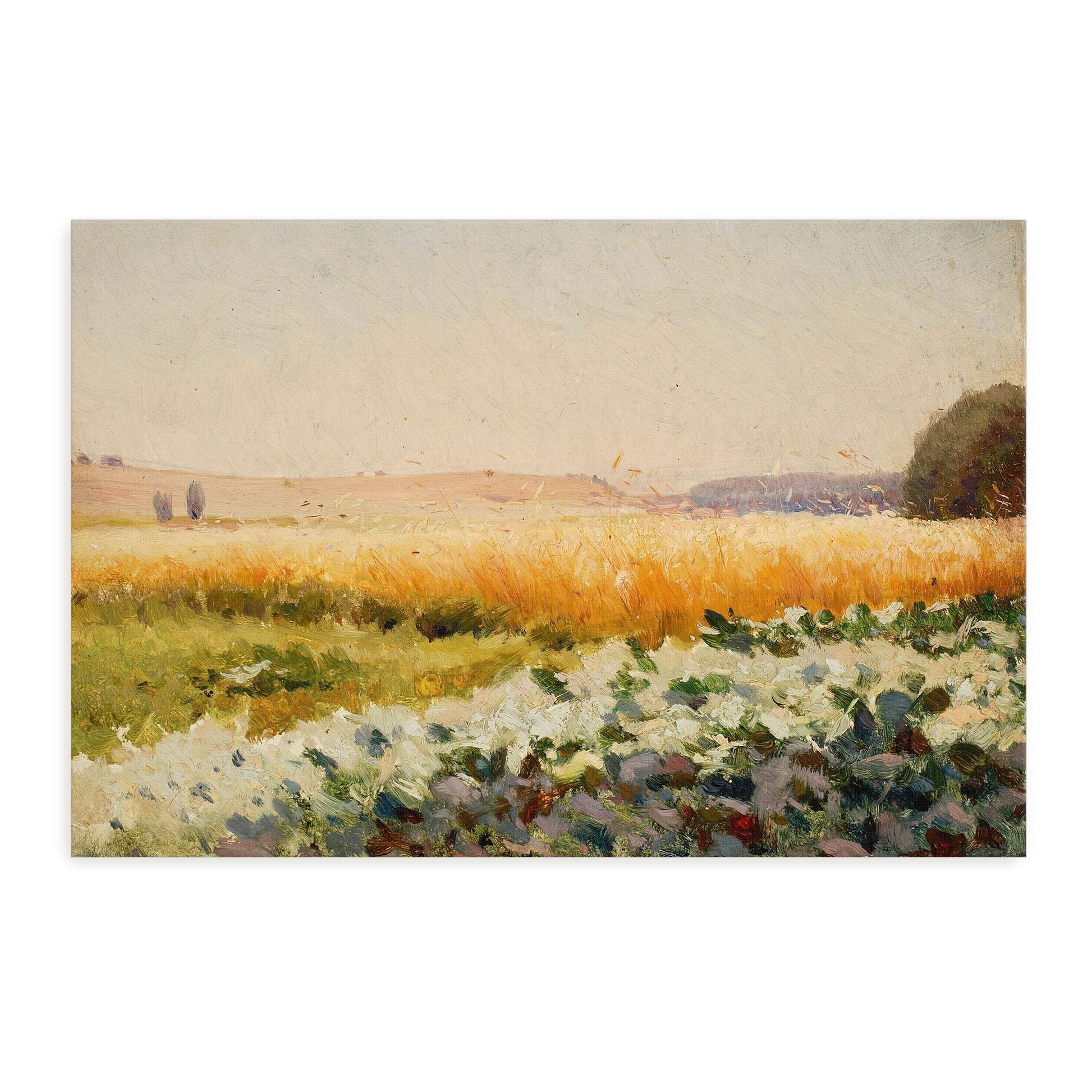 Field of cabbage with distant trees by Jan Stanislawski