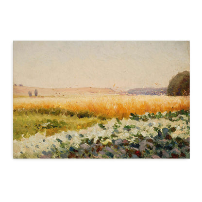 Field of cabbage with distant trees by Jan Stanislawski