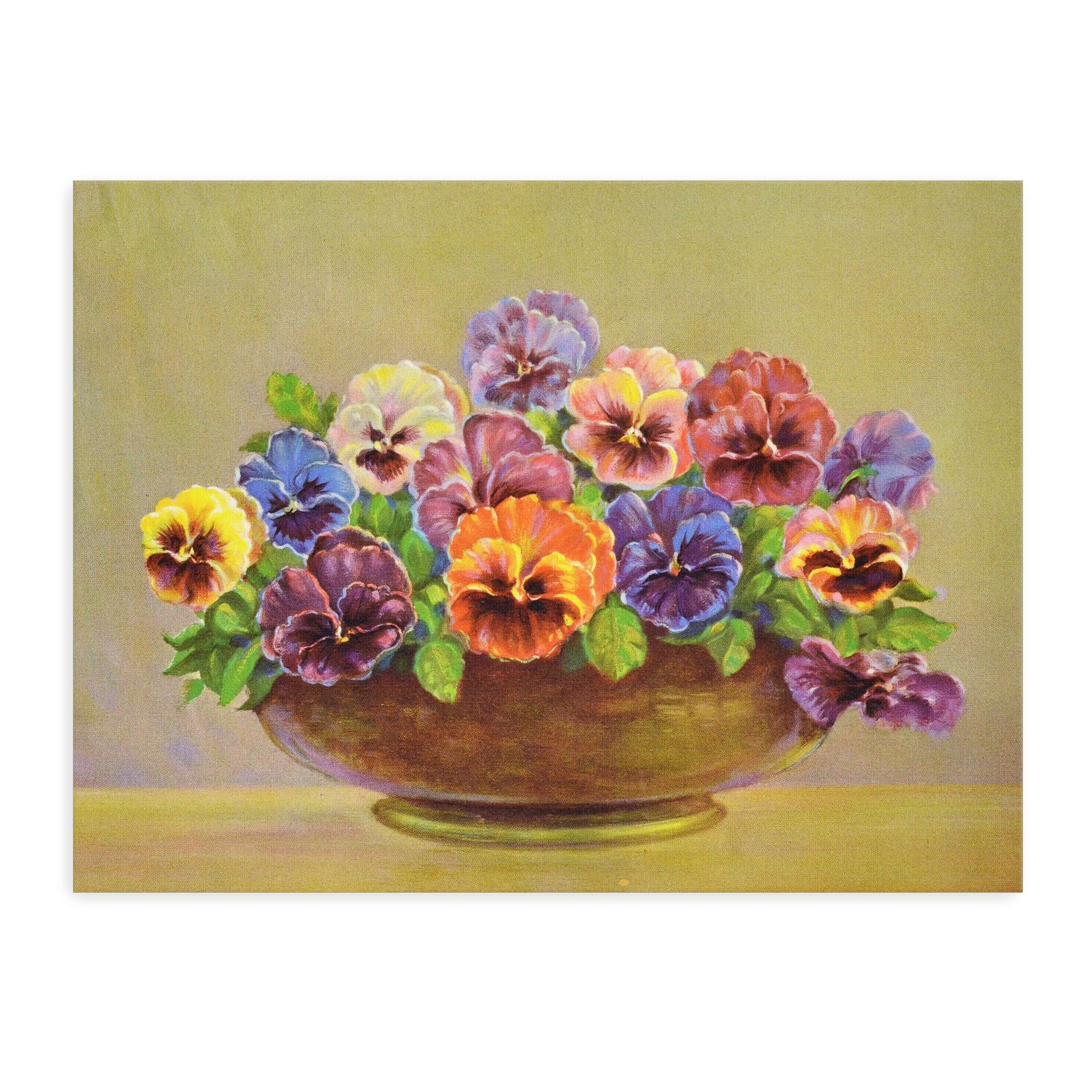 Pansy flowers in a bowl by Lafayette F. Cargill