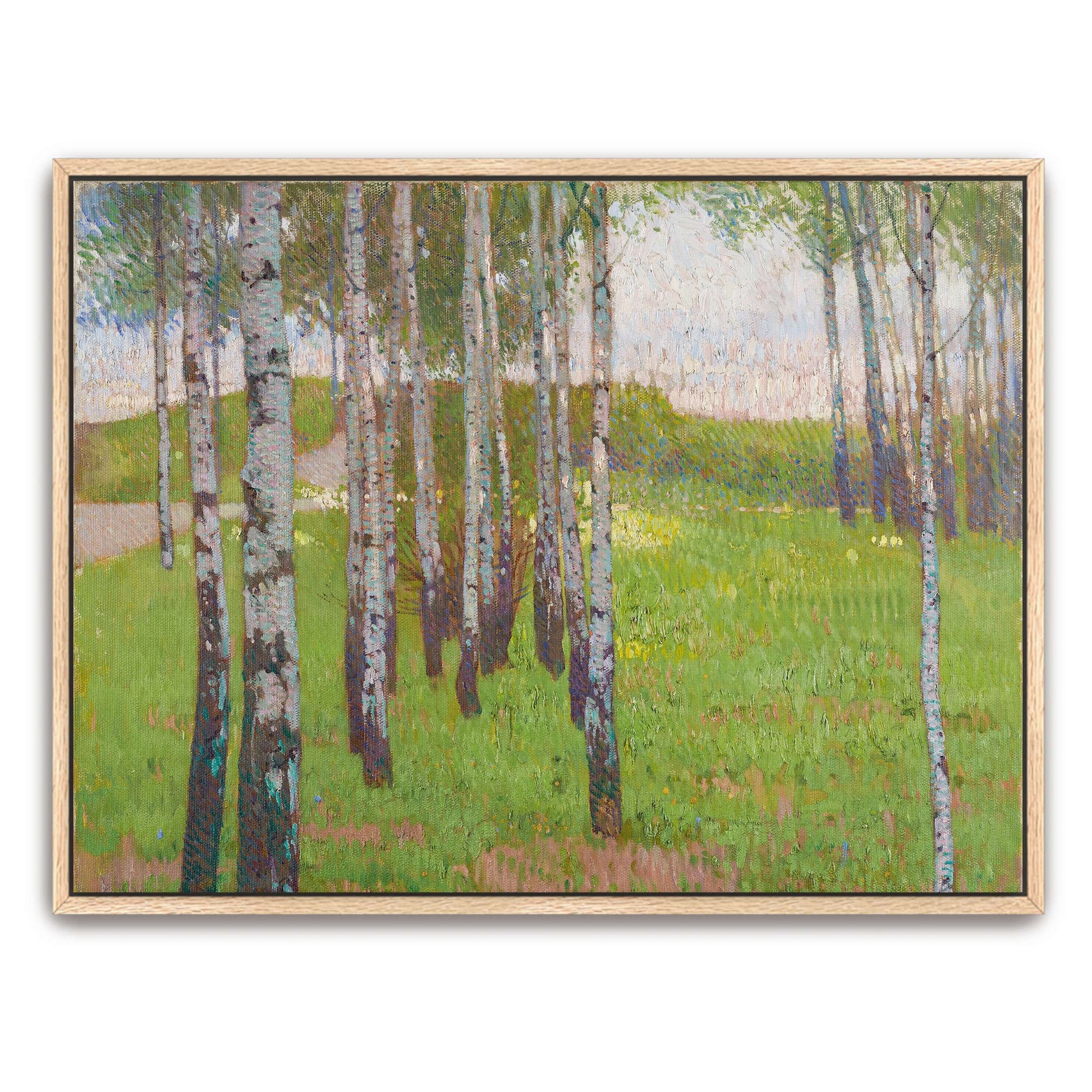 Birch trees in a grassy field by Carl Moll