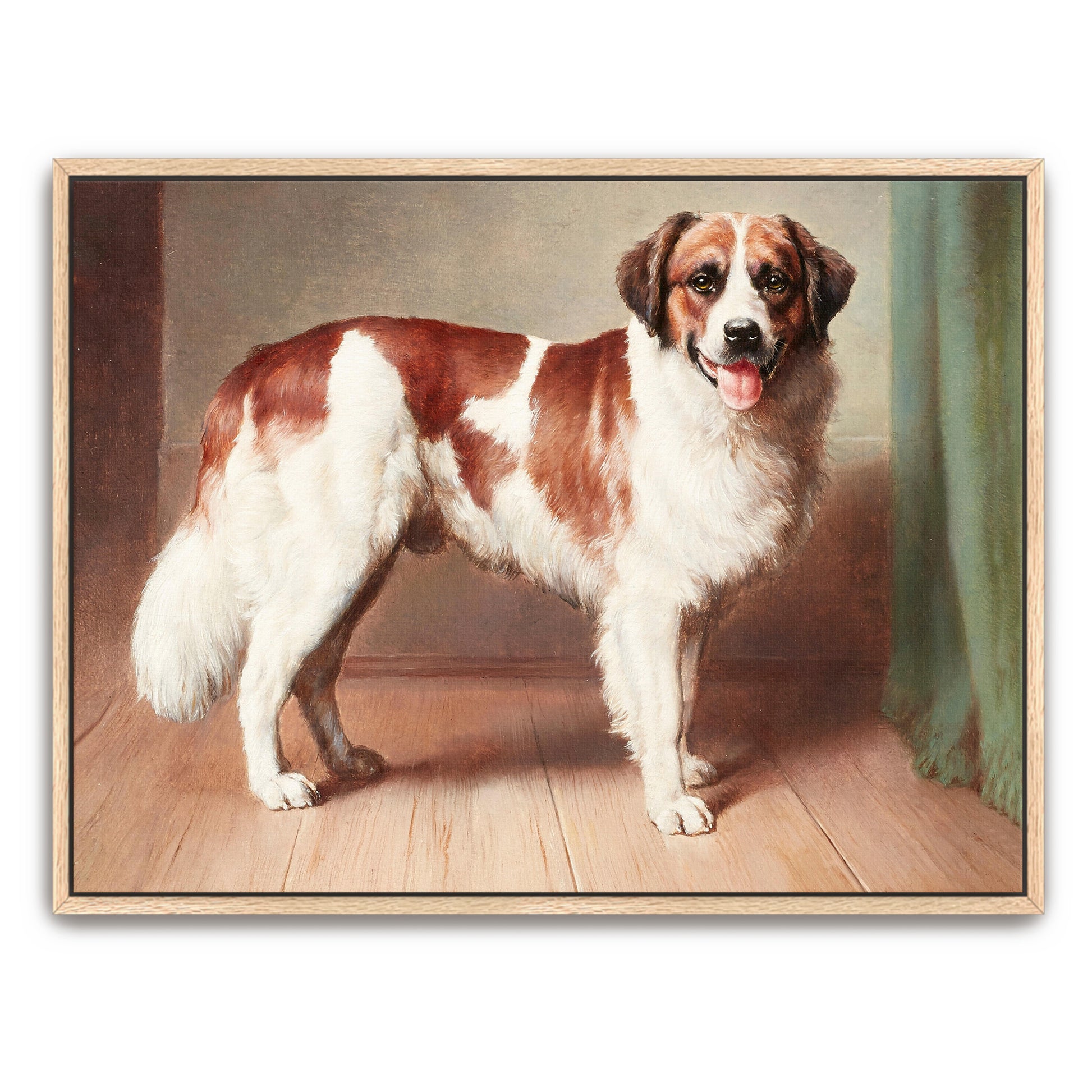 St. Bernard Dog Portrait, Standing, Indoor Setting By Carl Reichert