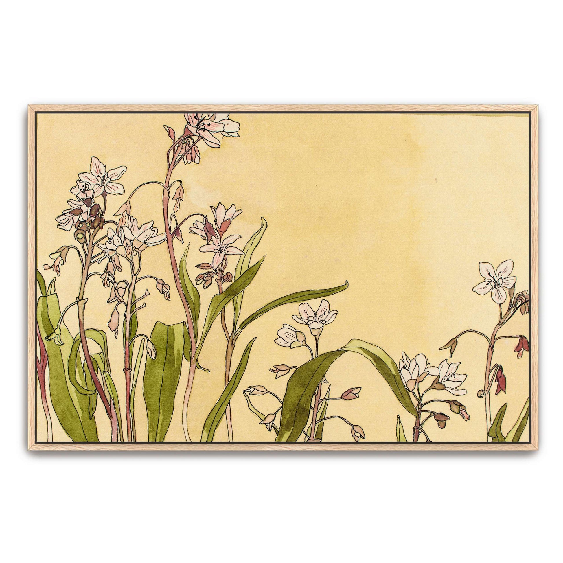 Delicate pink flowers by Hannah Borger Overbeck