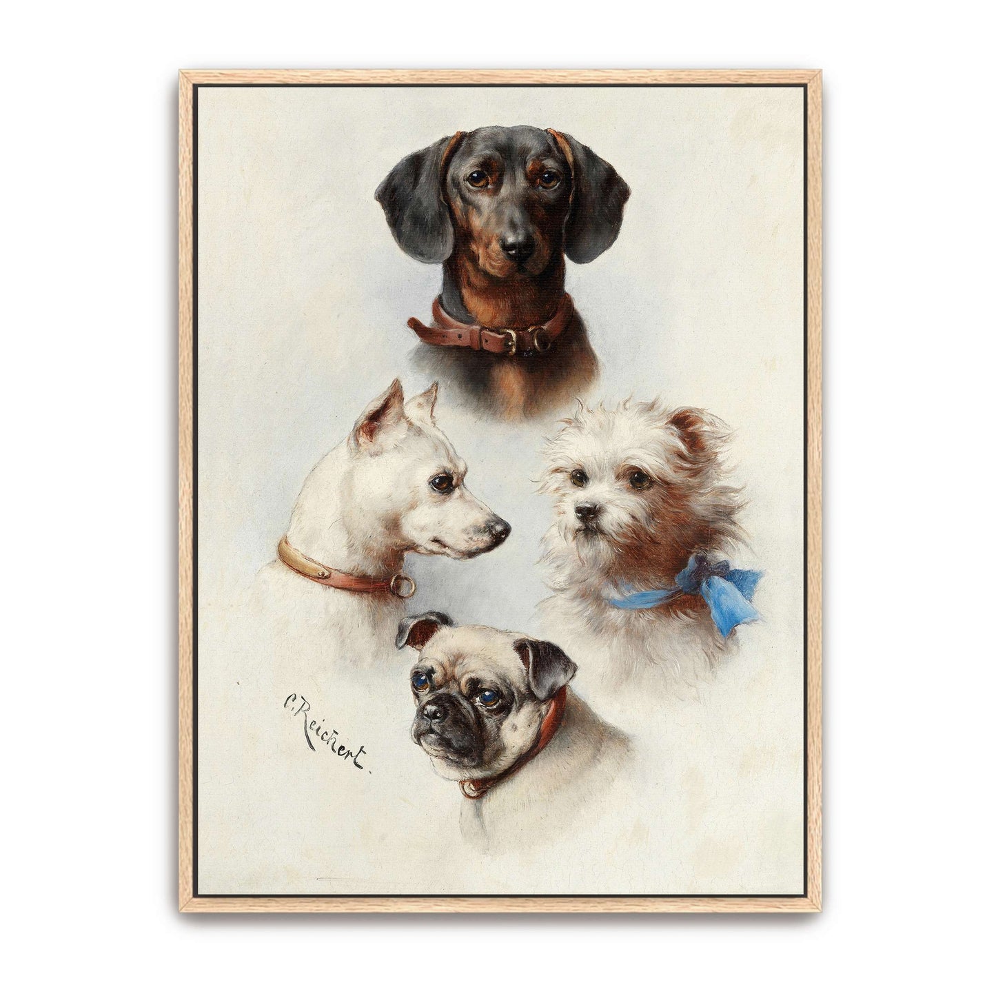 Four Dog Portraits by Carl Reichert