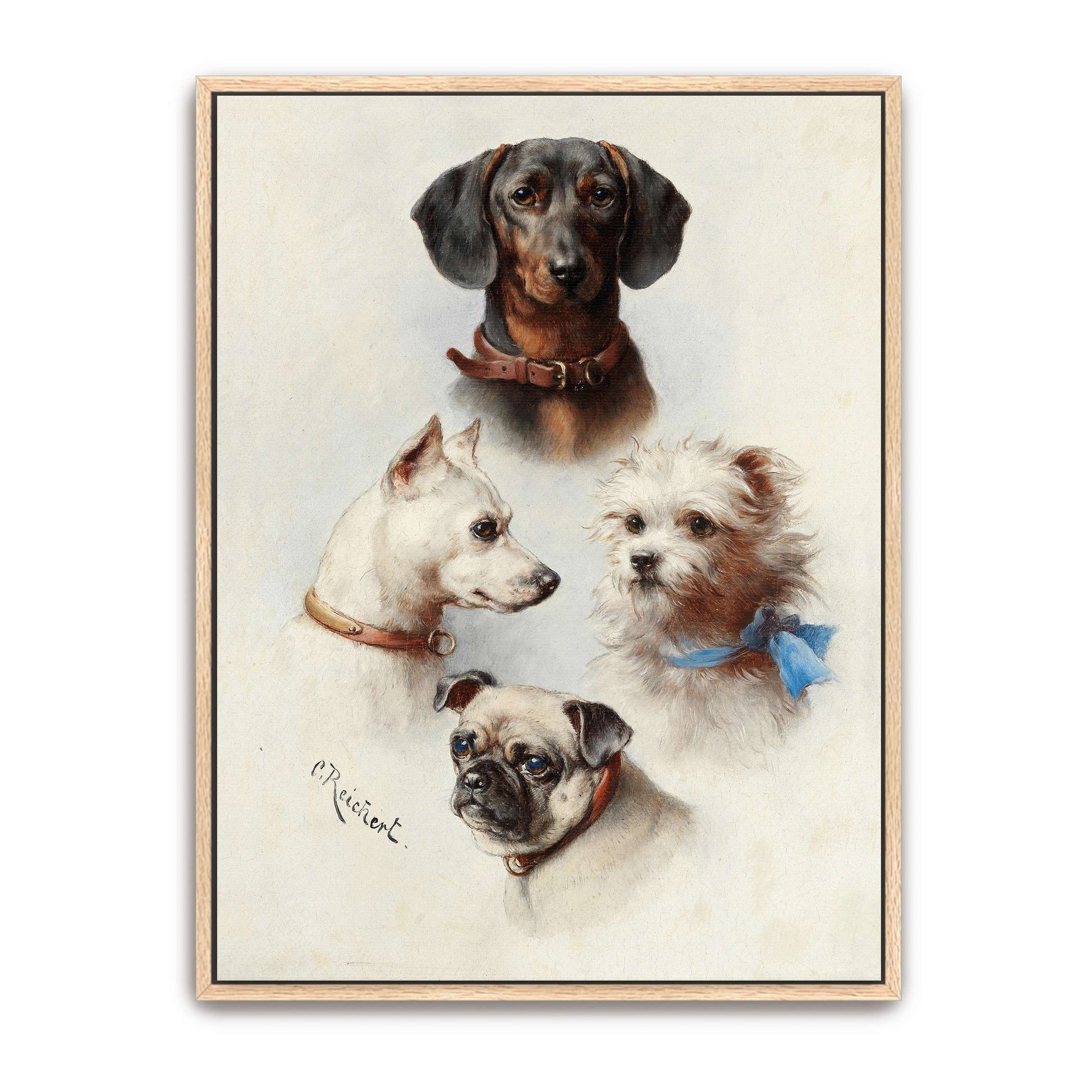 Four Dog Portraits by Carl Reichert