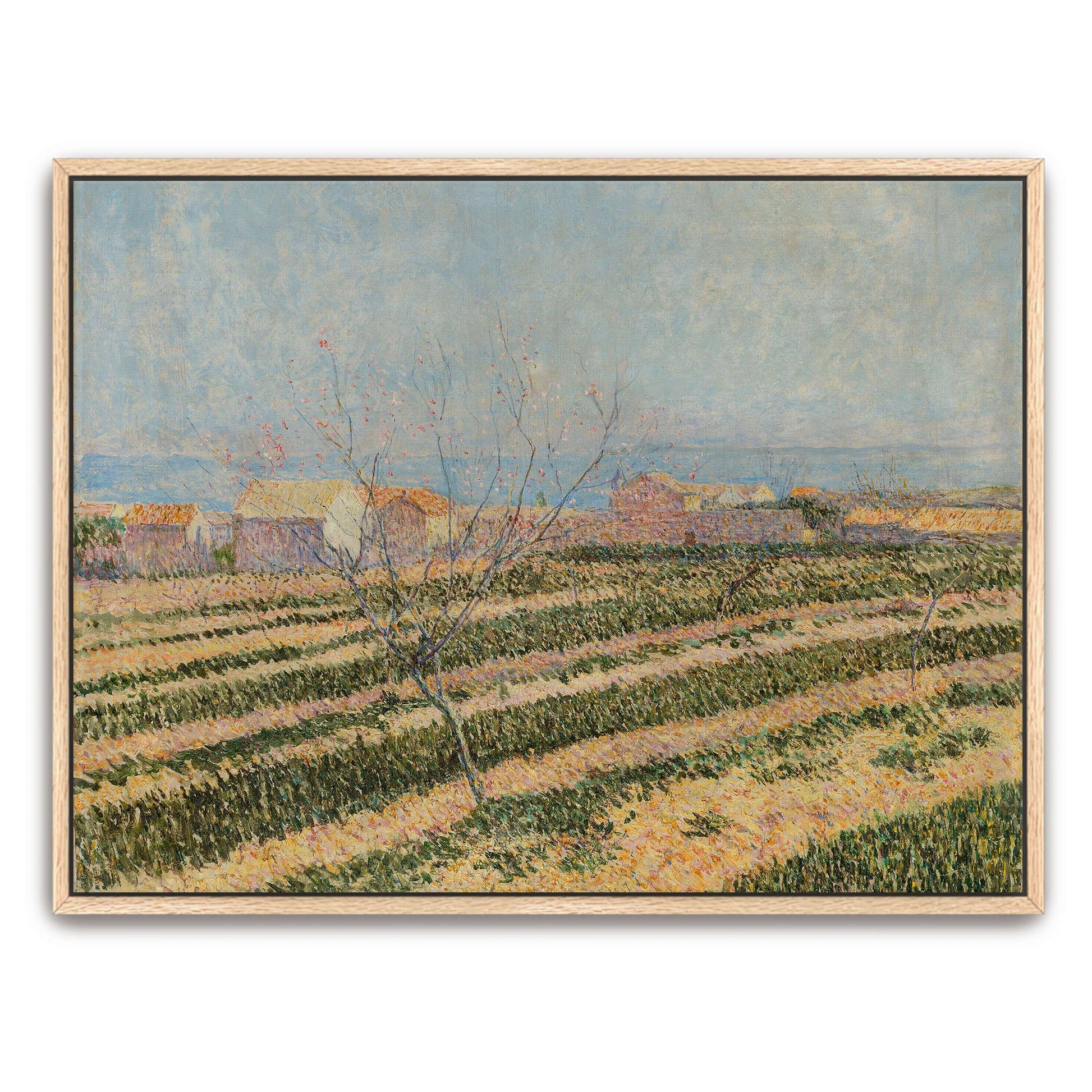 Countryside landscape with a tree by Paul Baum