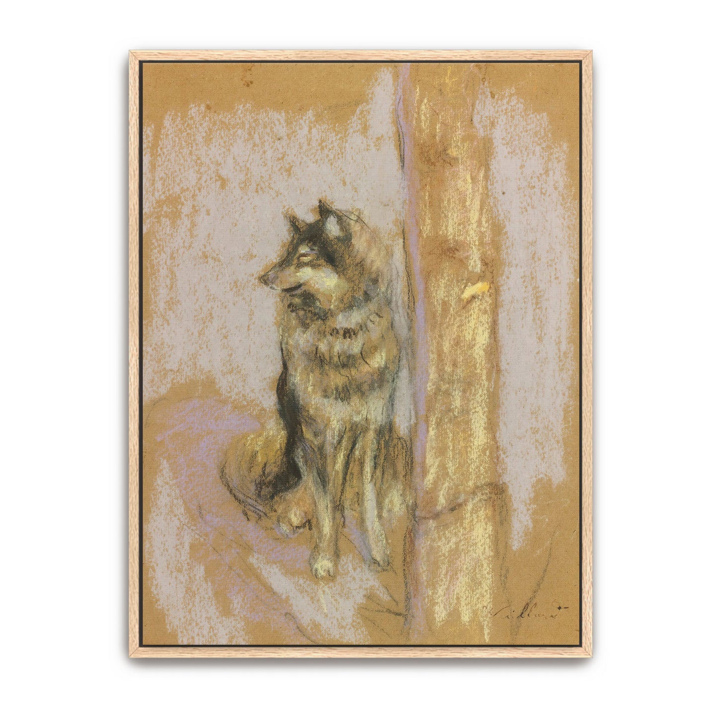 Wolf Dog Portrait Pastel Drawing By Édouard Vuillard