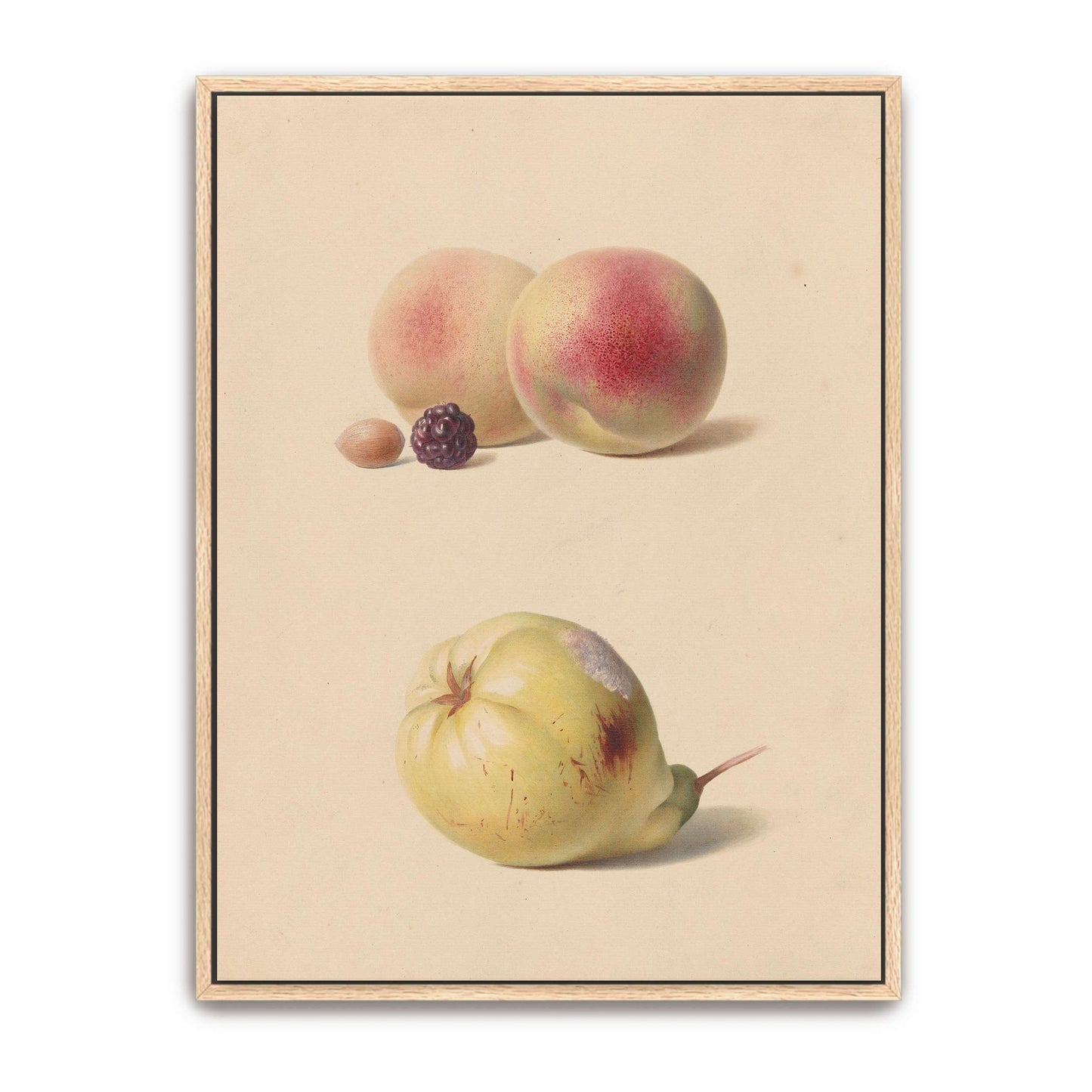 Peaches, blackberry, nut, pear by Hendrik Reekers