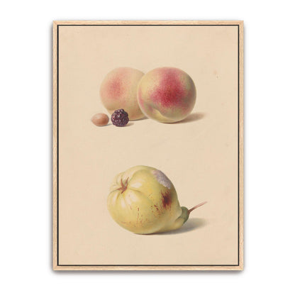 Peaches, blackberry, nut, pear by Hendrik Reekers