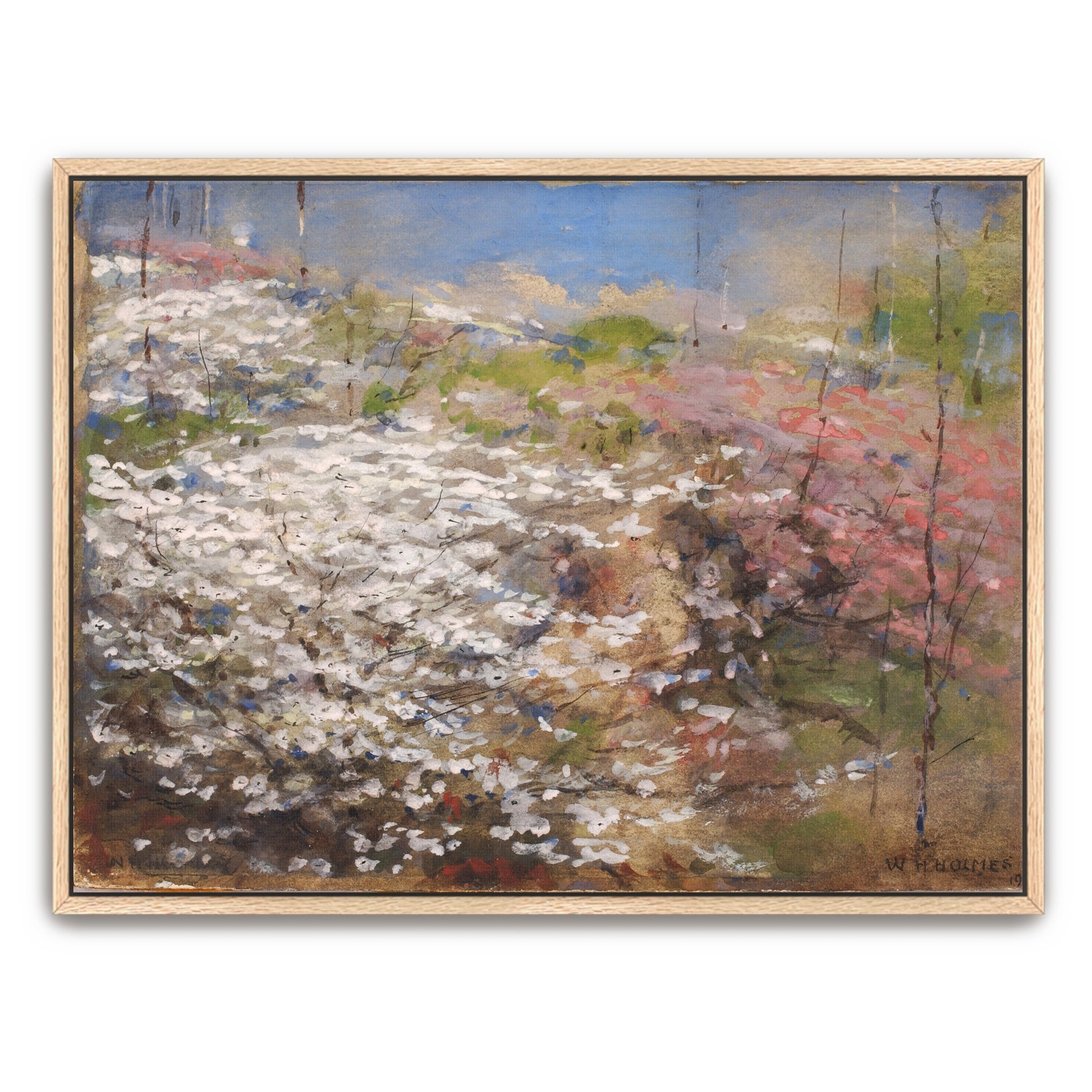 Springtime Field Of Blossoms By William Henry Holmes