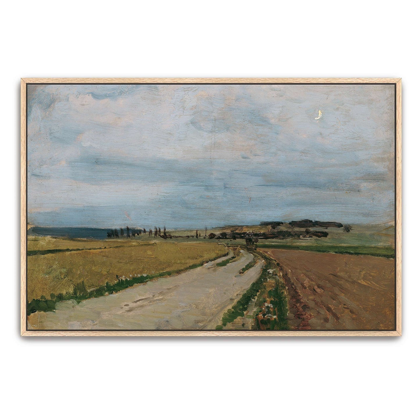 Country road, fields, and sky by Carl Moll