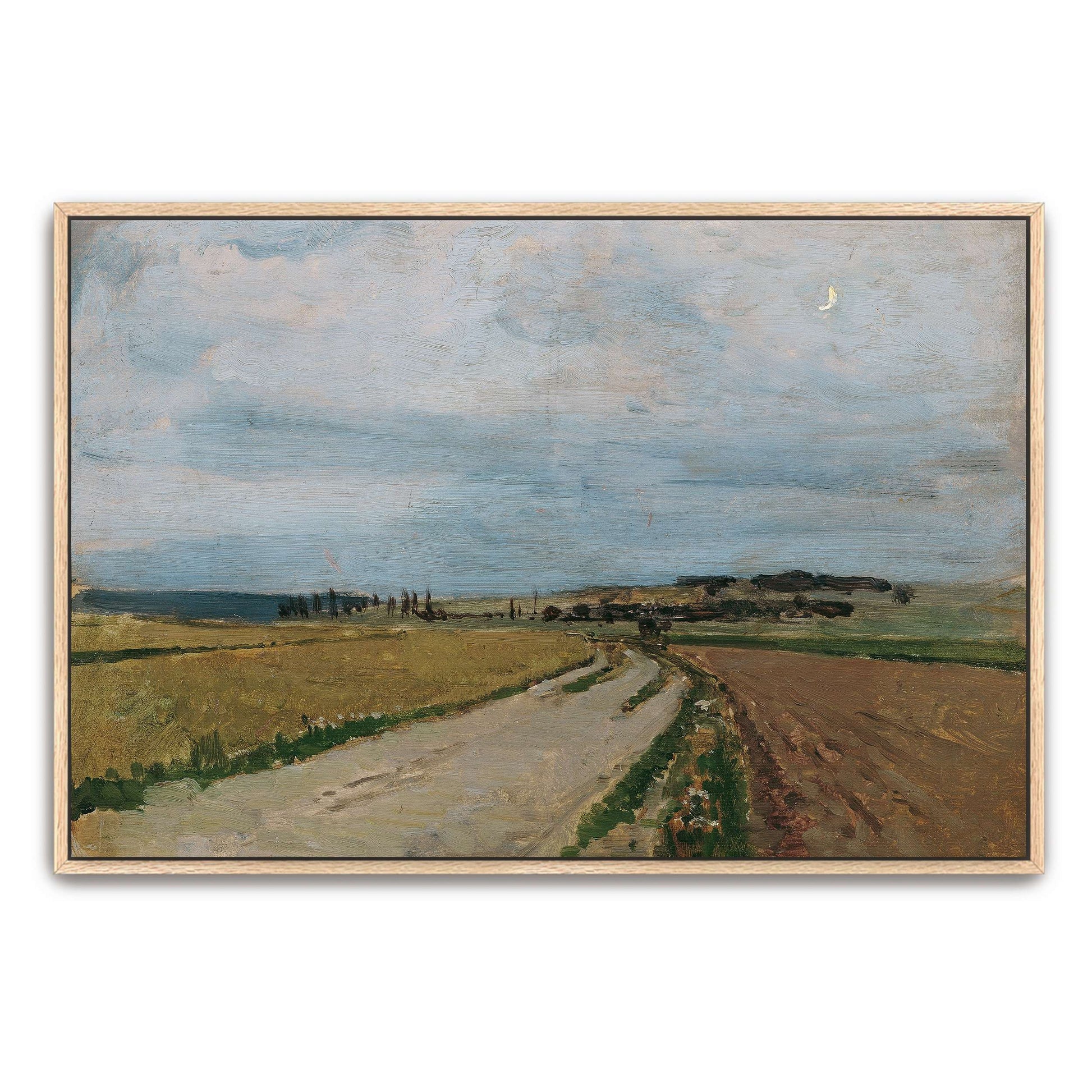 Country road, fields, and sky by Carl Moll