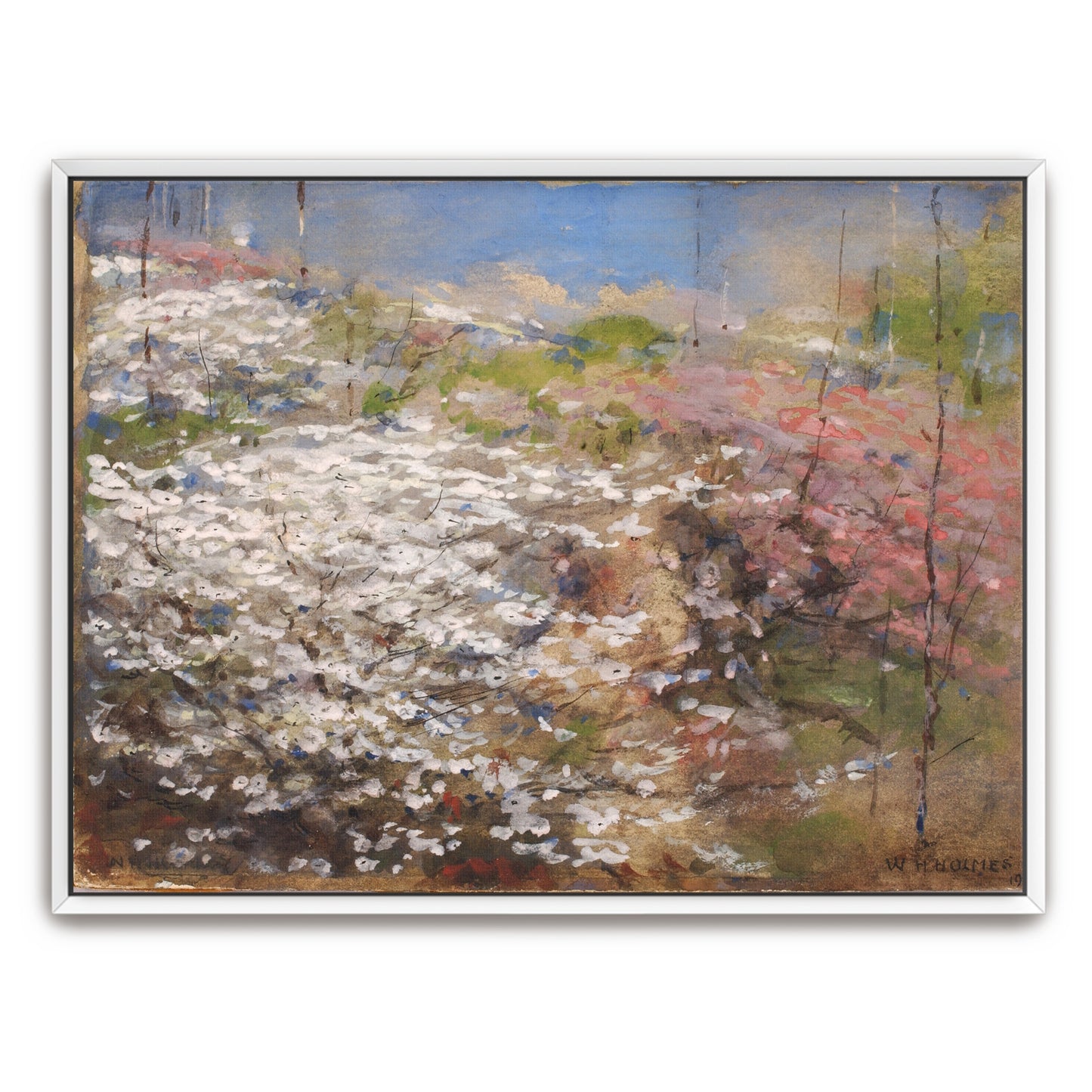 Springtime Field Of Blossoms By William Henry Holmes