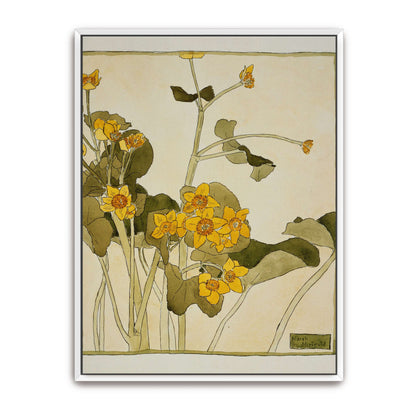 Marsh marigold botanical art by Hannah Borger Overbeck