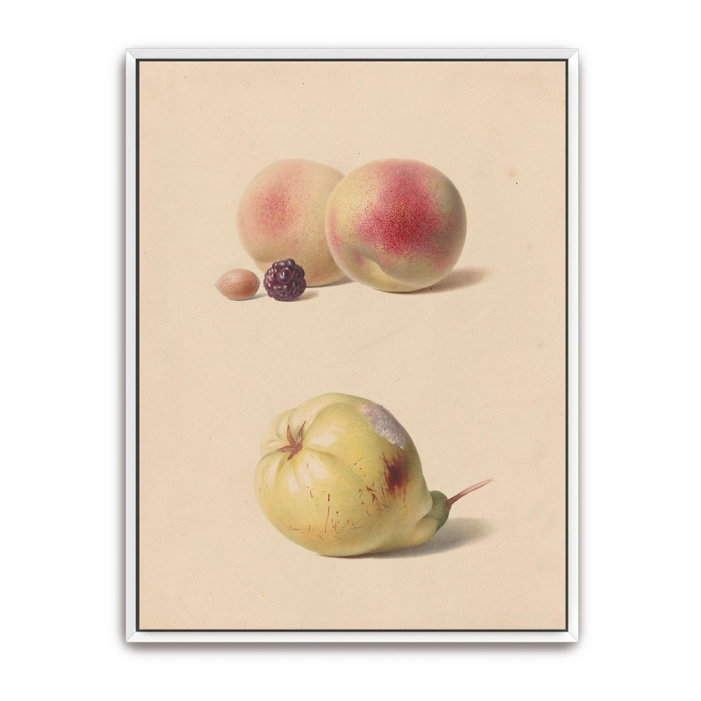 Peaches, blackberry, nut, pear by Hendrik Reekers