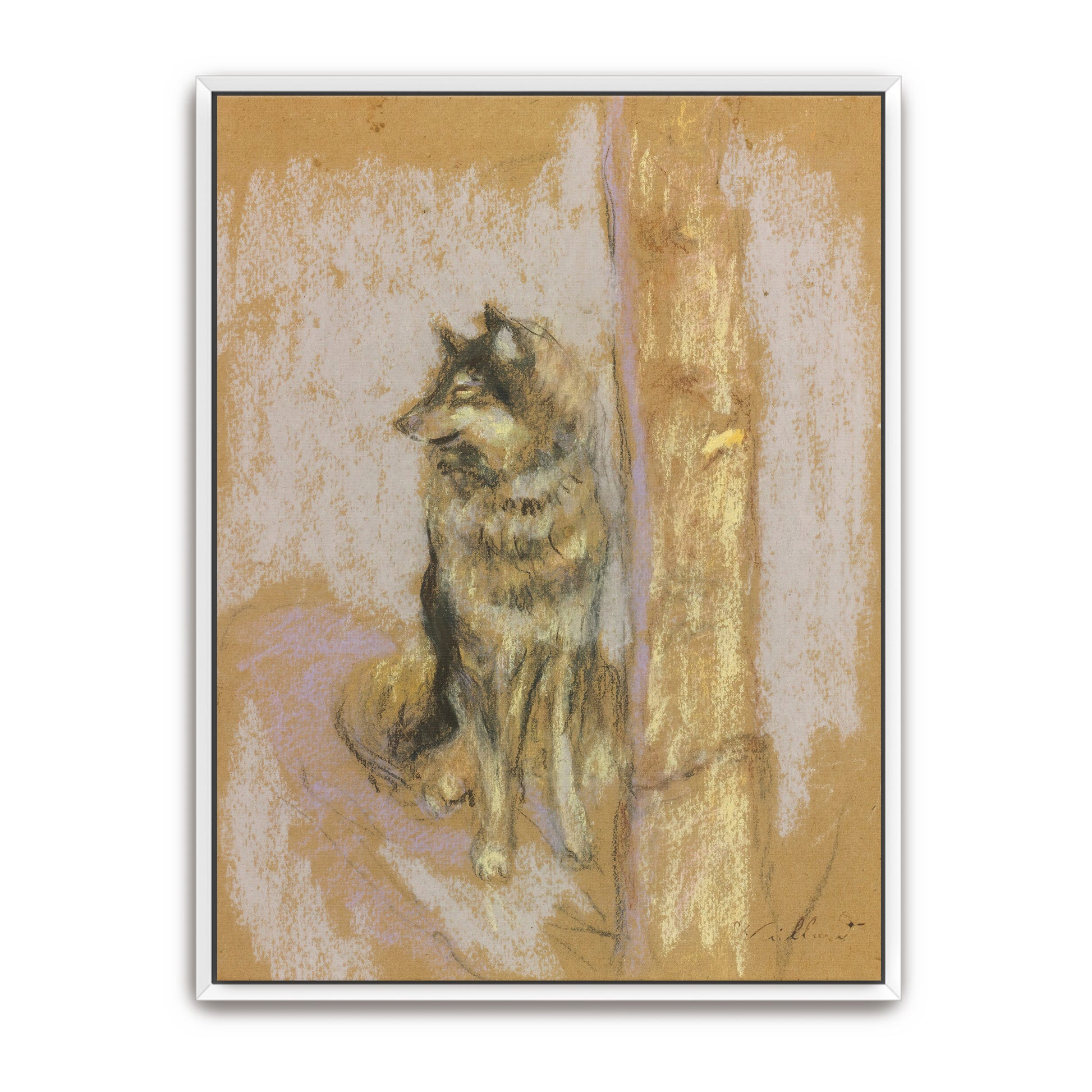 Wolf Dog Portrait Pastel Drawing By Édouard Vuillard