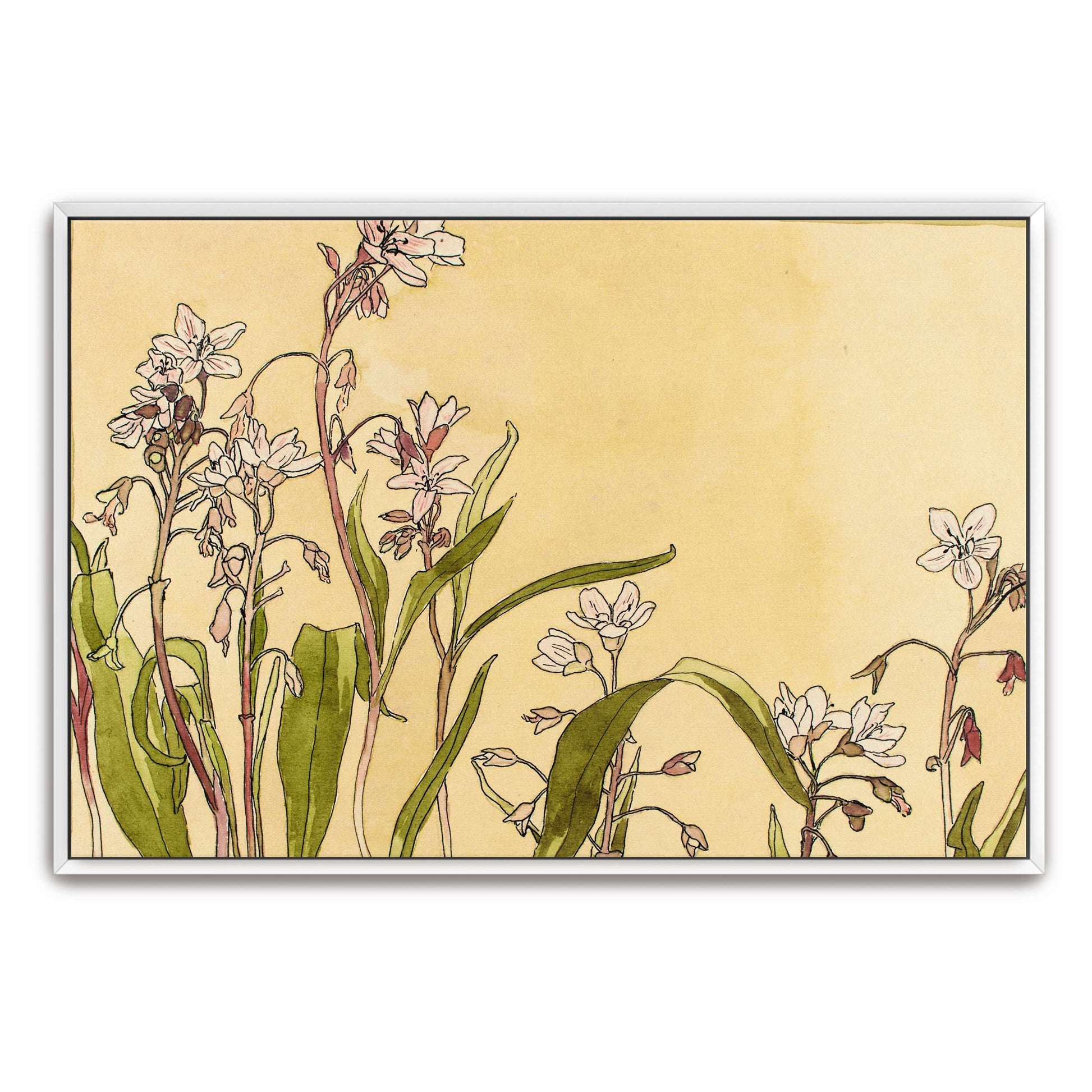 Delicate pink flowers by Hannah Borger Overbeck