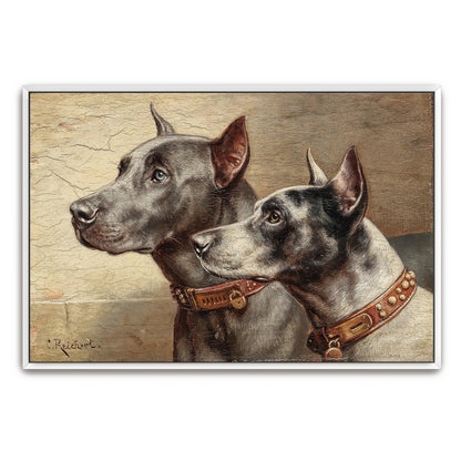 Two Great Danes Portrait, Close Up, Detailed, Realistic By Carl Reichert