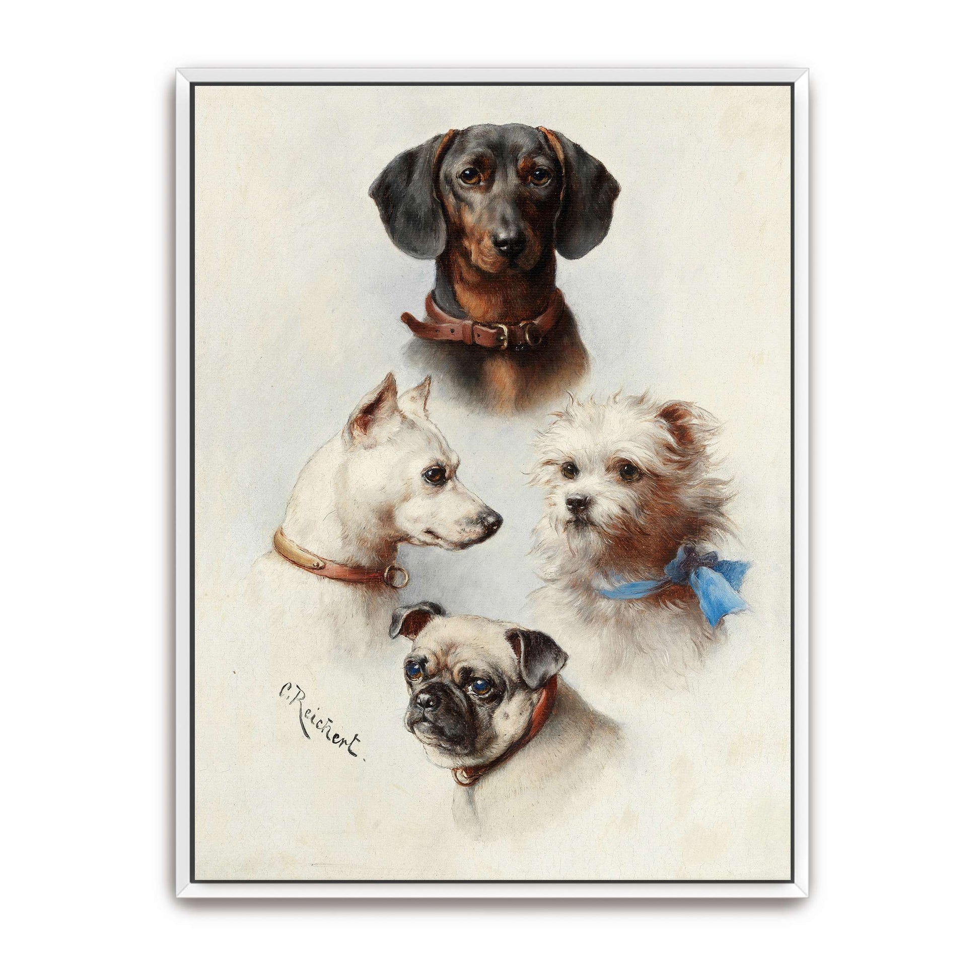 Four Dog Portraits by Carl Reichert