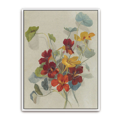 Watercolor painting of nasturtiums by Deborah Griscom Passmore