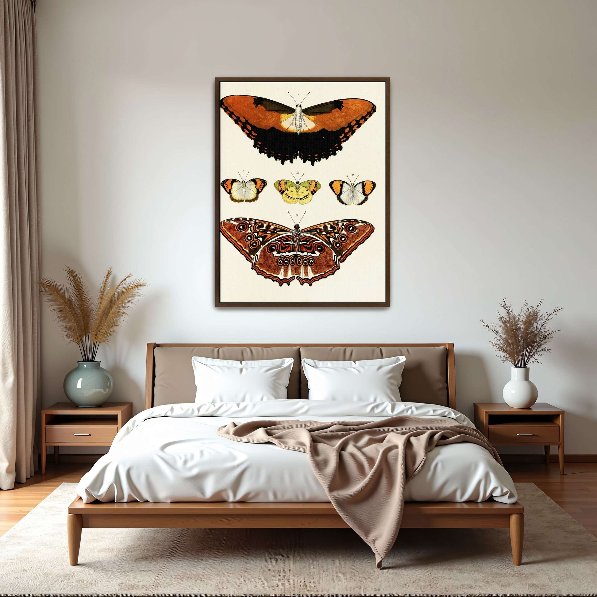 Five butterflies on white background by Pieter Cramer