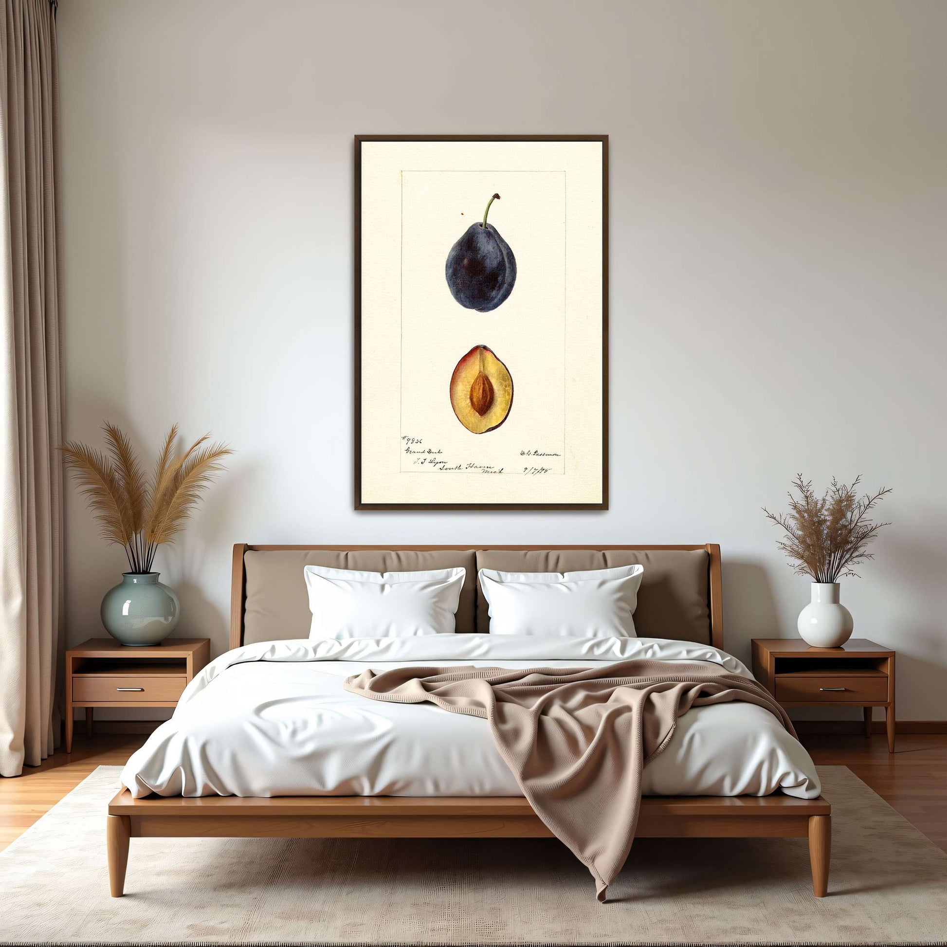 Plum watercolor painting by Deborah Griscom Passmore