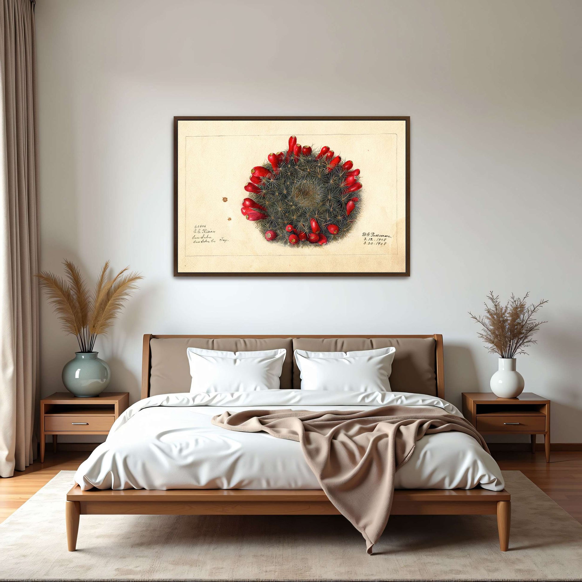 Cactus with red flowers by Deborah Griscom Passmore