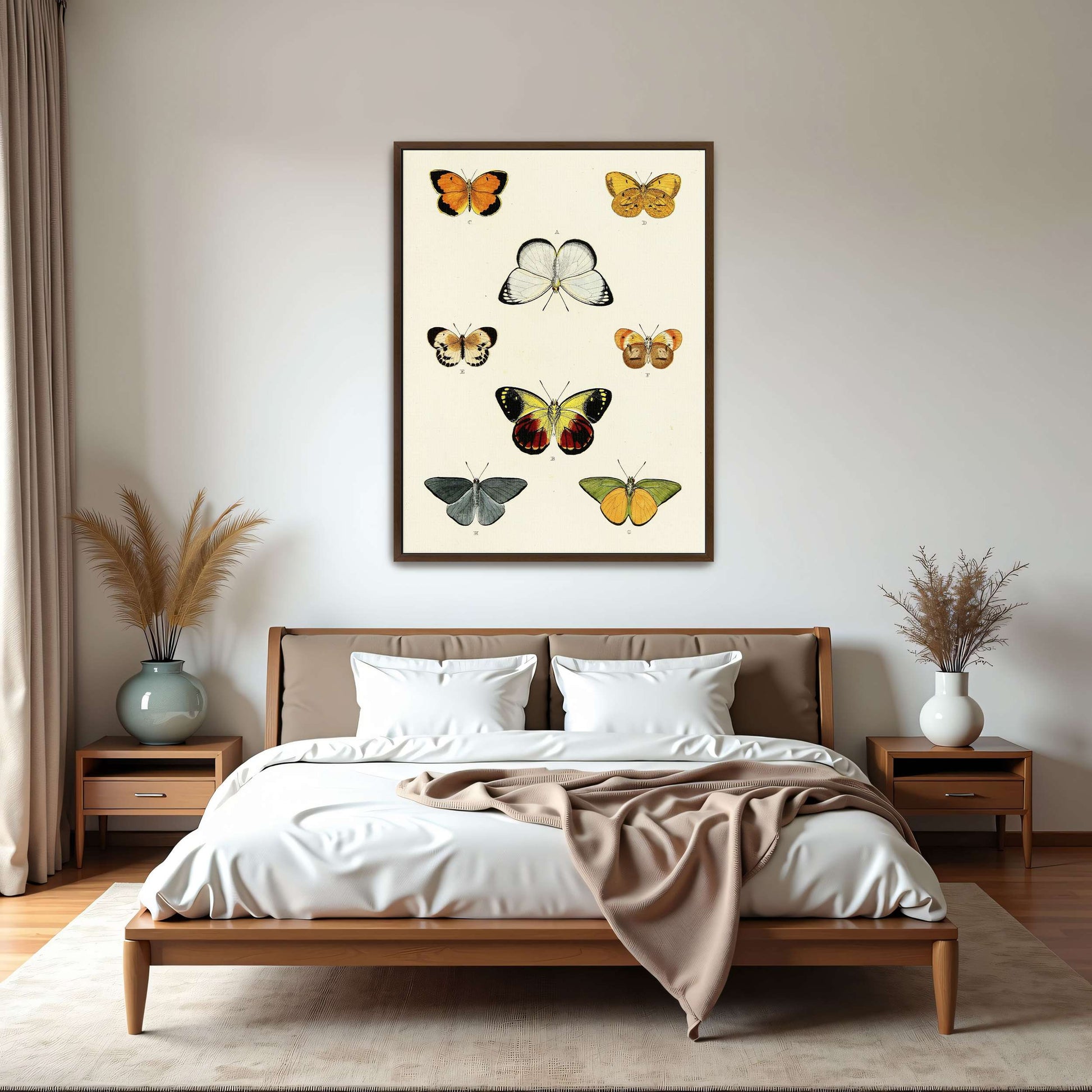 Collection of butterflies on a white page by Pieter Cramer