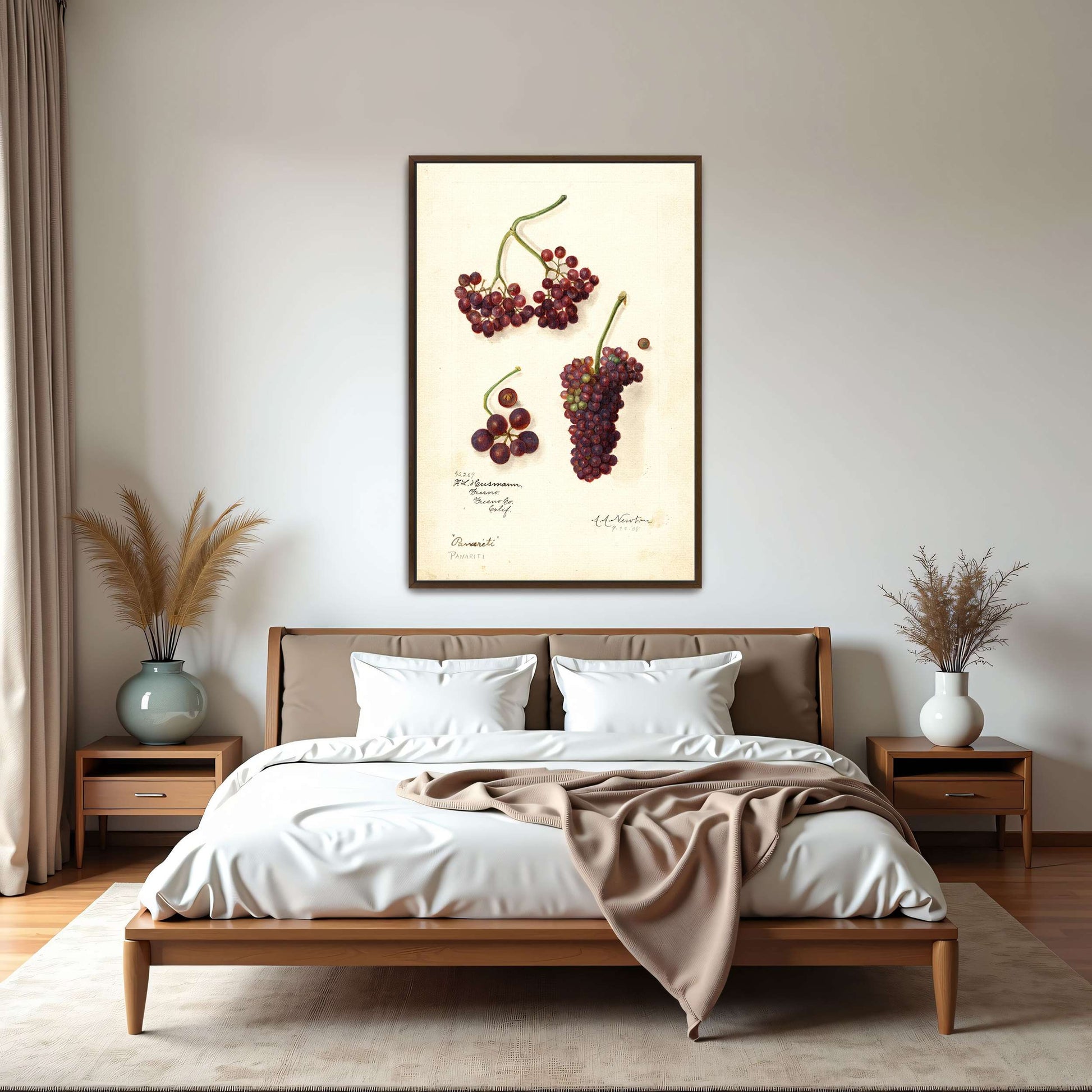 Grape and berry watercolor by Amanda Almira Newton