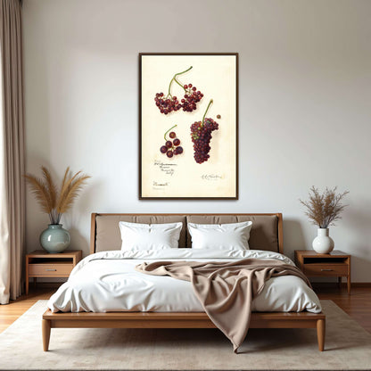 Grape and berry watercolor by Amanda Almira Newton