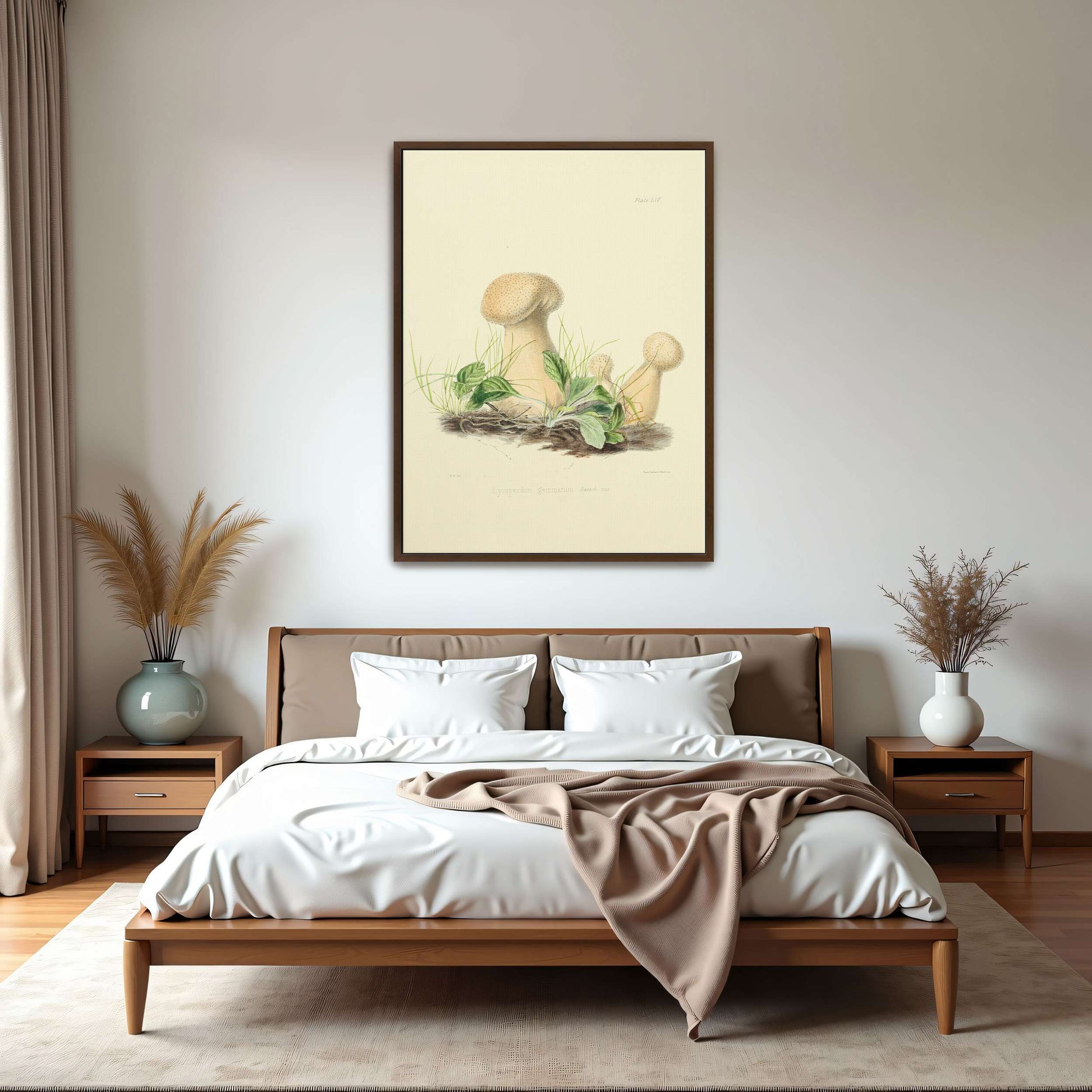 Mushrooms in grass illustration by Anna Maria Hussey