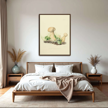 Mushrooms in grass illustration by Anna Maria Hussey