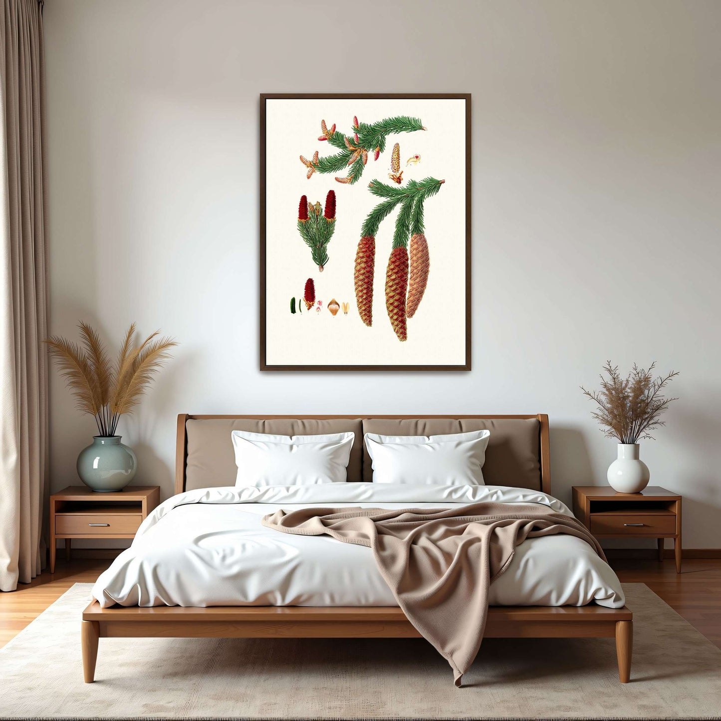 Norway spruce fir botanical illustration by Aylmer Bourke Lambert