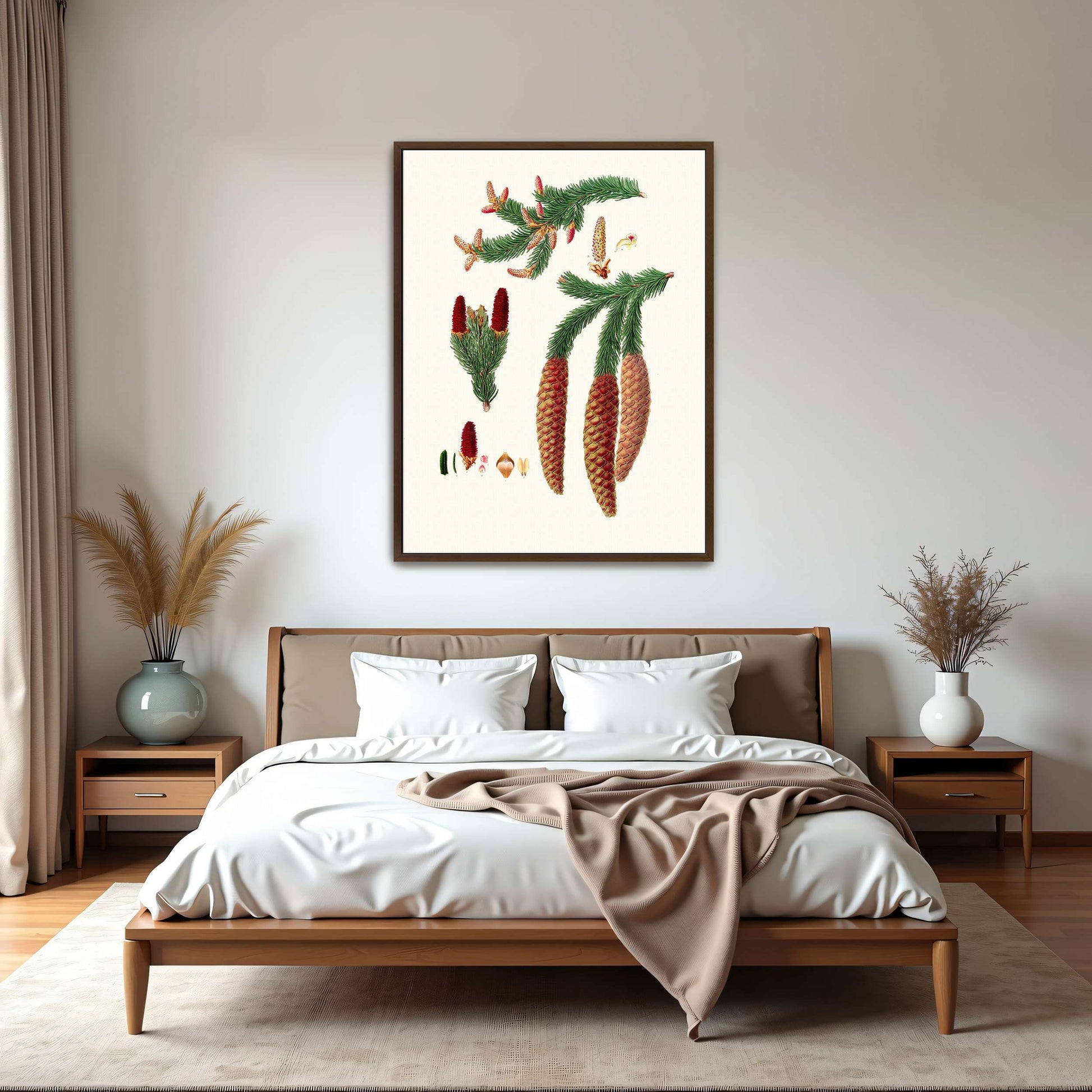 Norway spruce fir botanical illustration by Aylmer Bourke Lambert