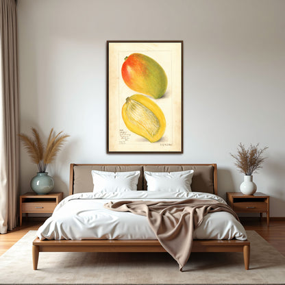 Watercolor Painting Of Two Mangoes By Amanda Almira Newton