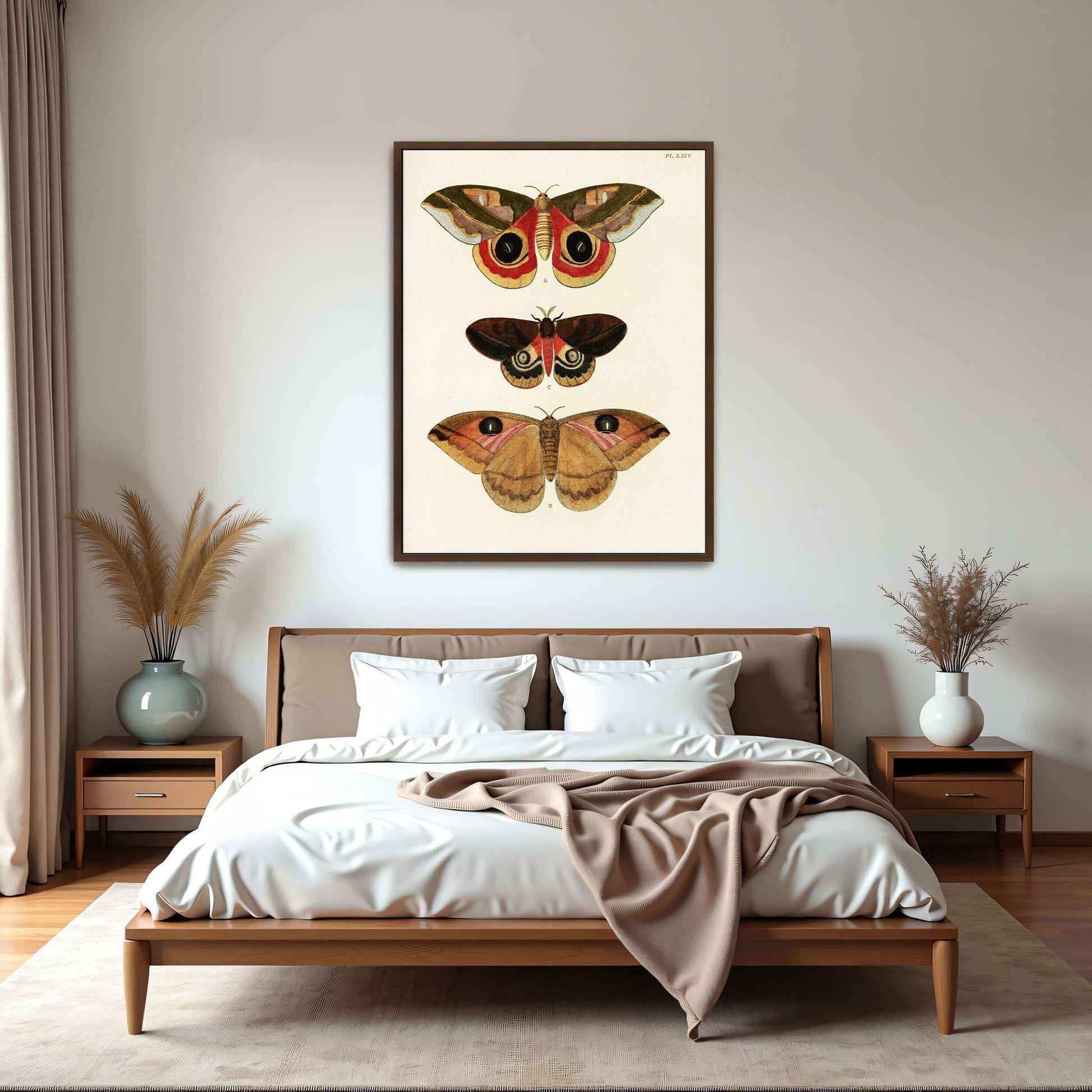 Three butterfly specimens on white background by Pieter Cramer