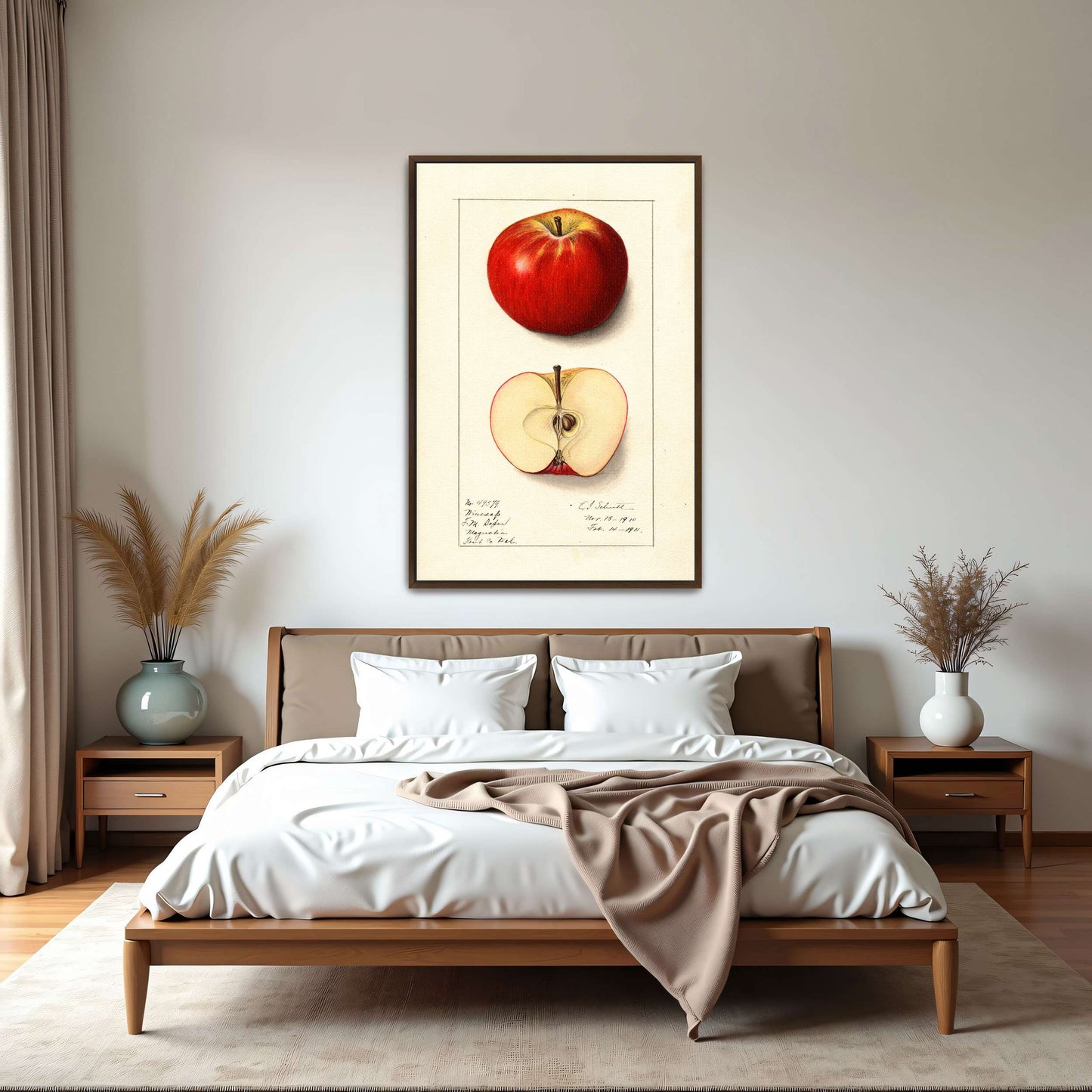 Winesap apple illustration by Ellen Isham Schutt