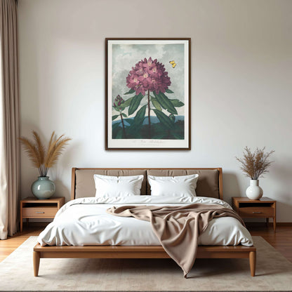 Pink Rhododendron with Insects by Robert John Thornton