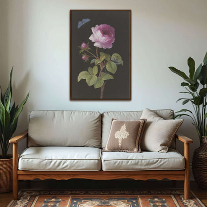 Pink rose, butterfly, caterpillar by Elisabeth Christina Matthes