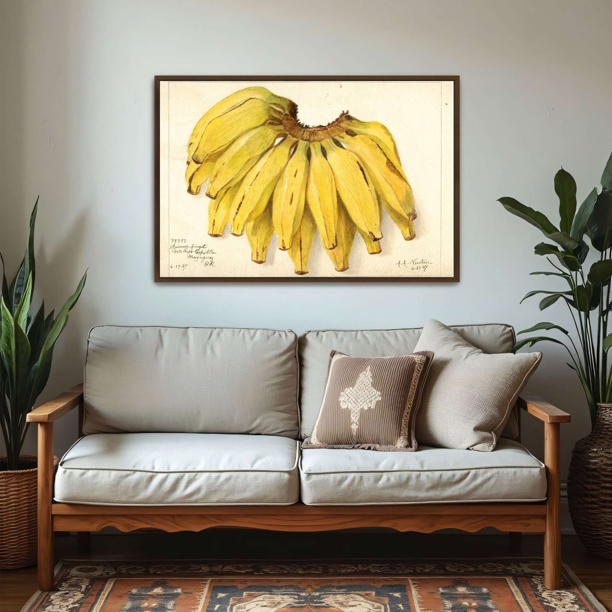 Watercolor painting of bananas by Amanda Almira Newton
