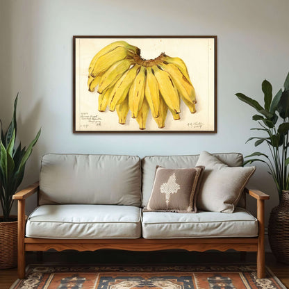 Watercolor painting of bananas by Amanda Almira Newton