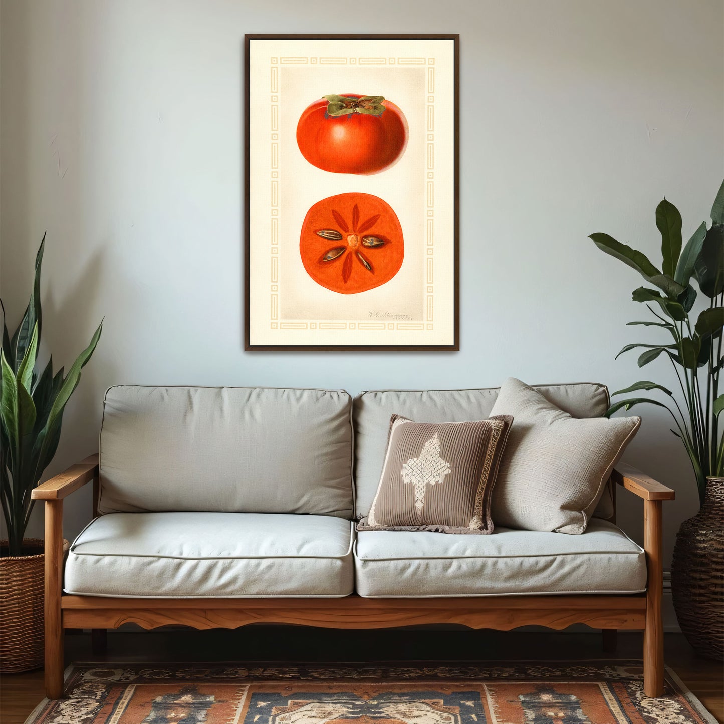 Diospyros Fuyu Persimmon Fruit Illustration By Royal Charles Steadman