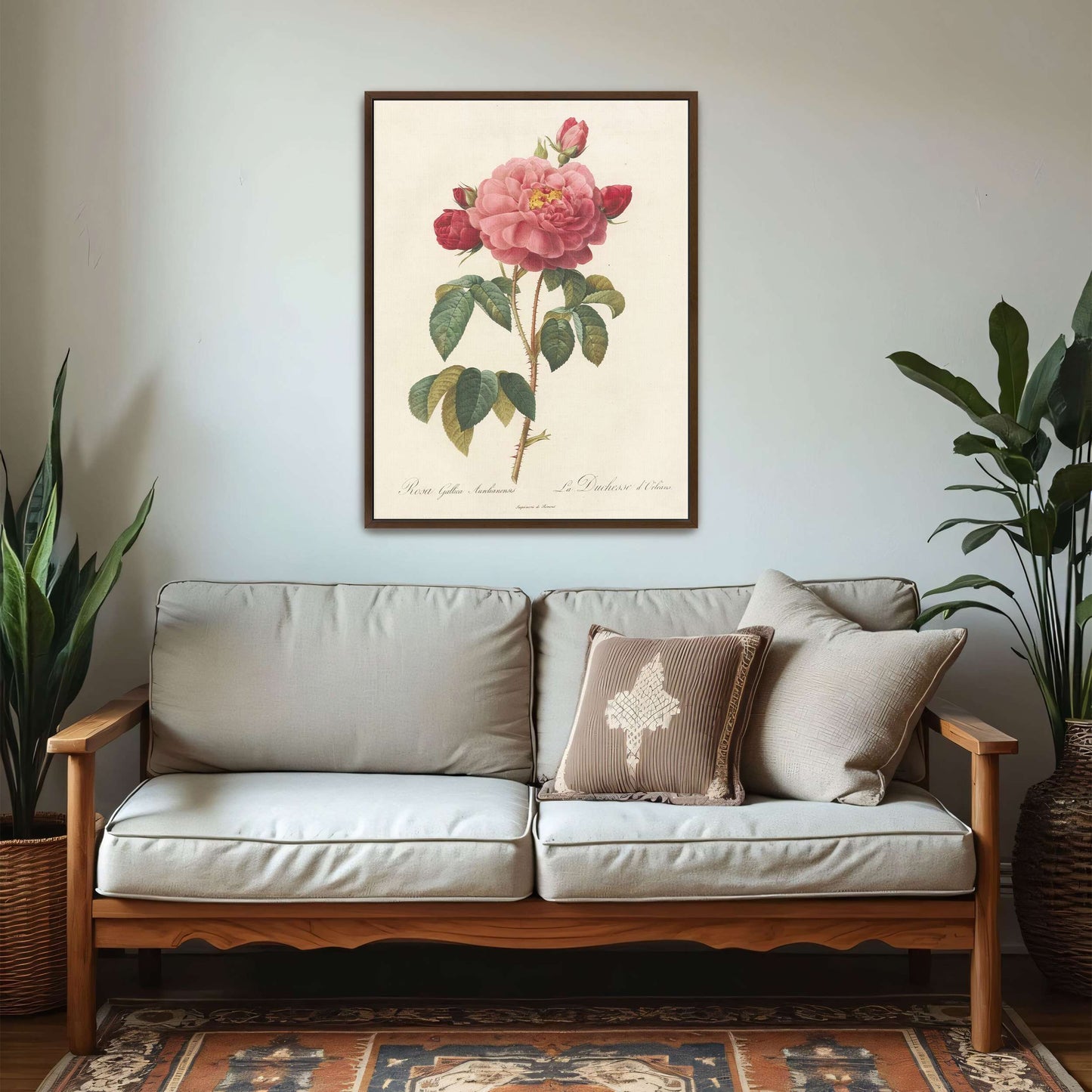 Pink rose botanical illustration by Pierre Joseph Redouté