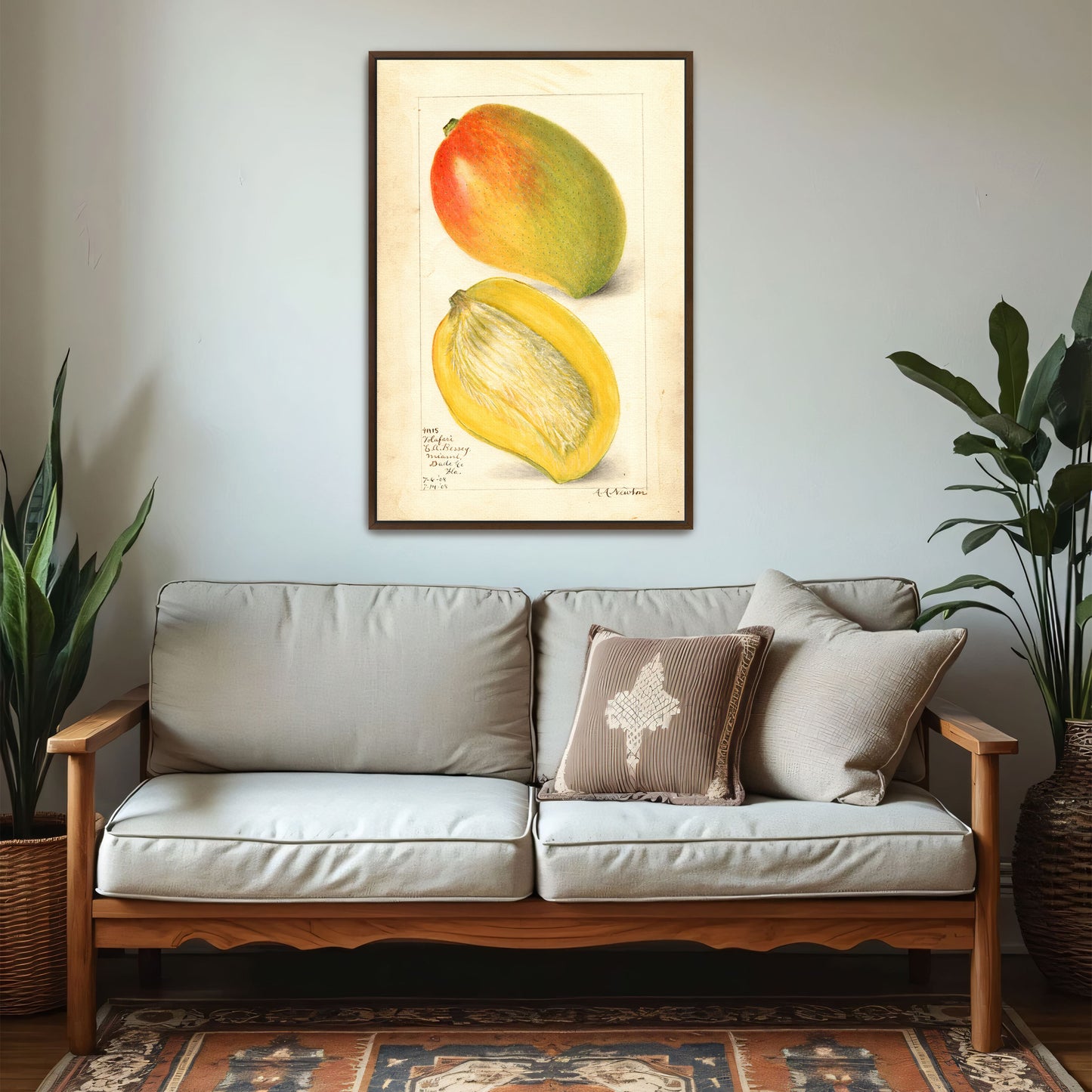 Watercolor Painting Of Two Mangoes By Amanda Almira Newton