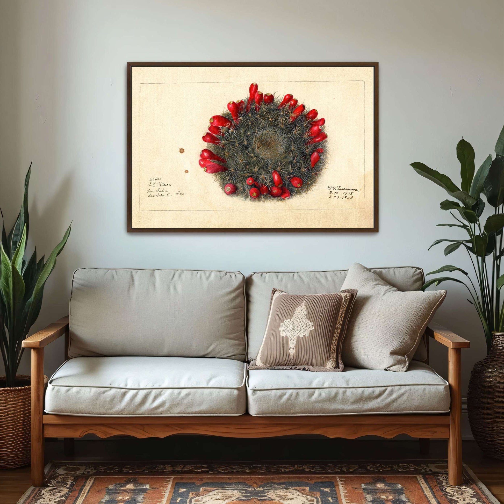 Cactus with red flowers by Deborah Griscom Passmore