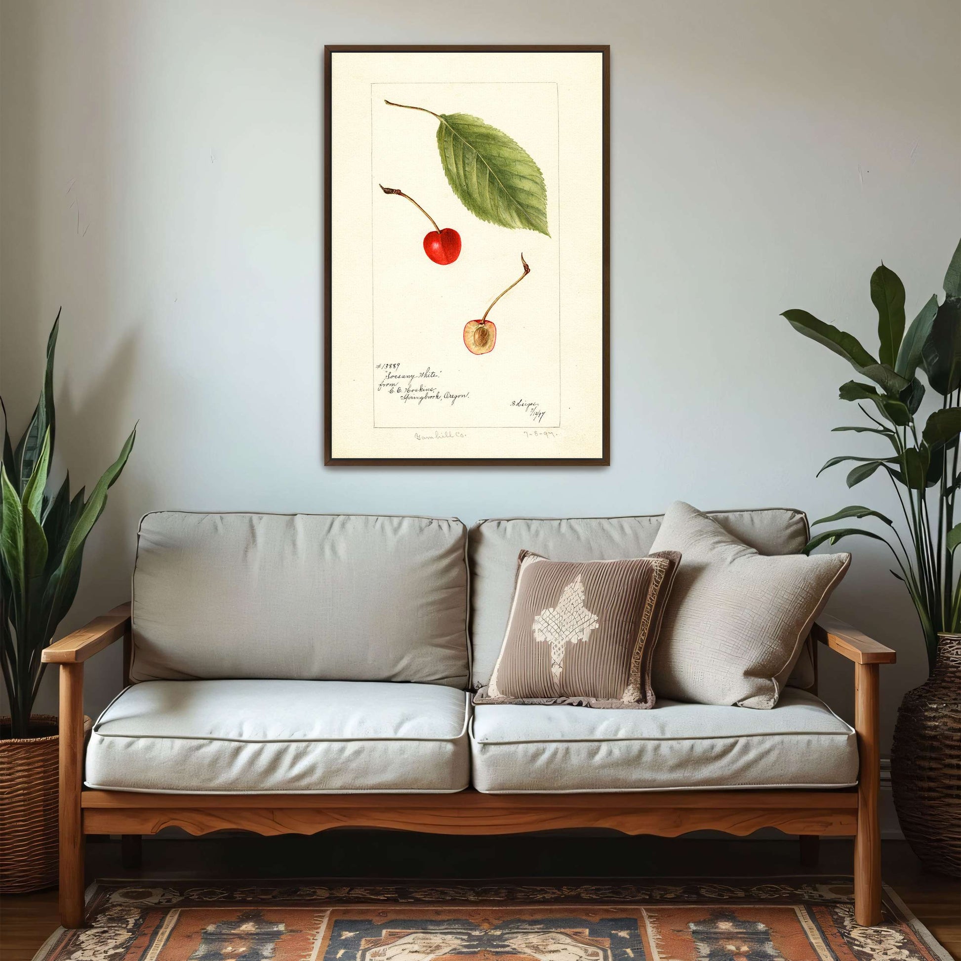 Cherry leaf and fruit watercolor by Bertha Heiges