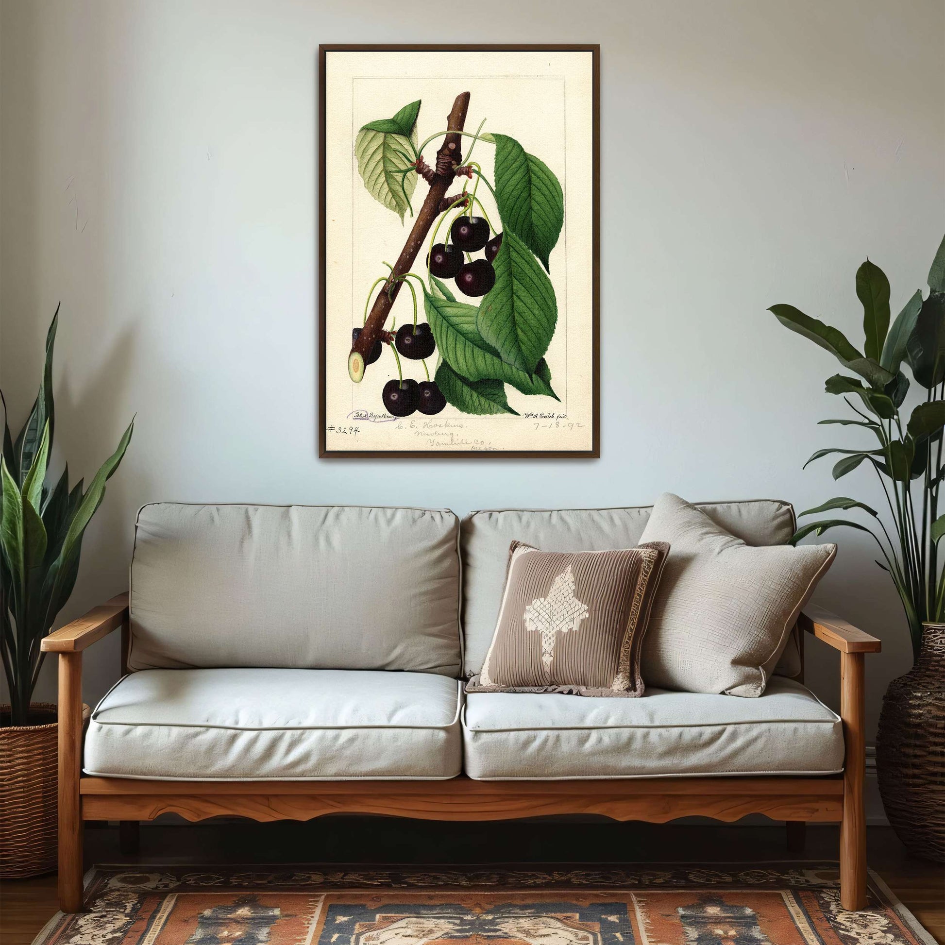 Black Republican Cherries by William Henry Prestele
