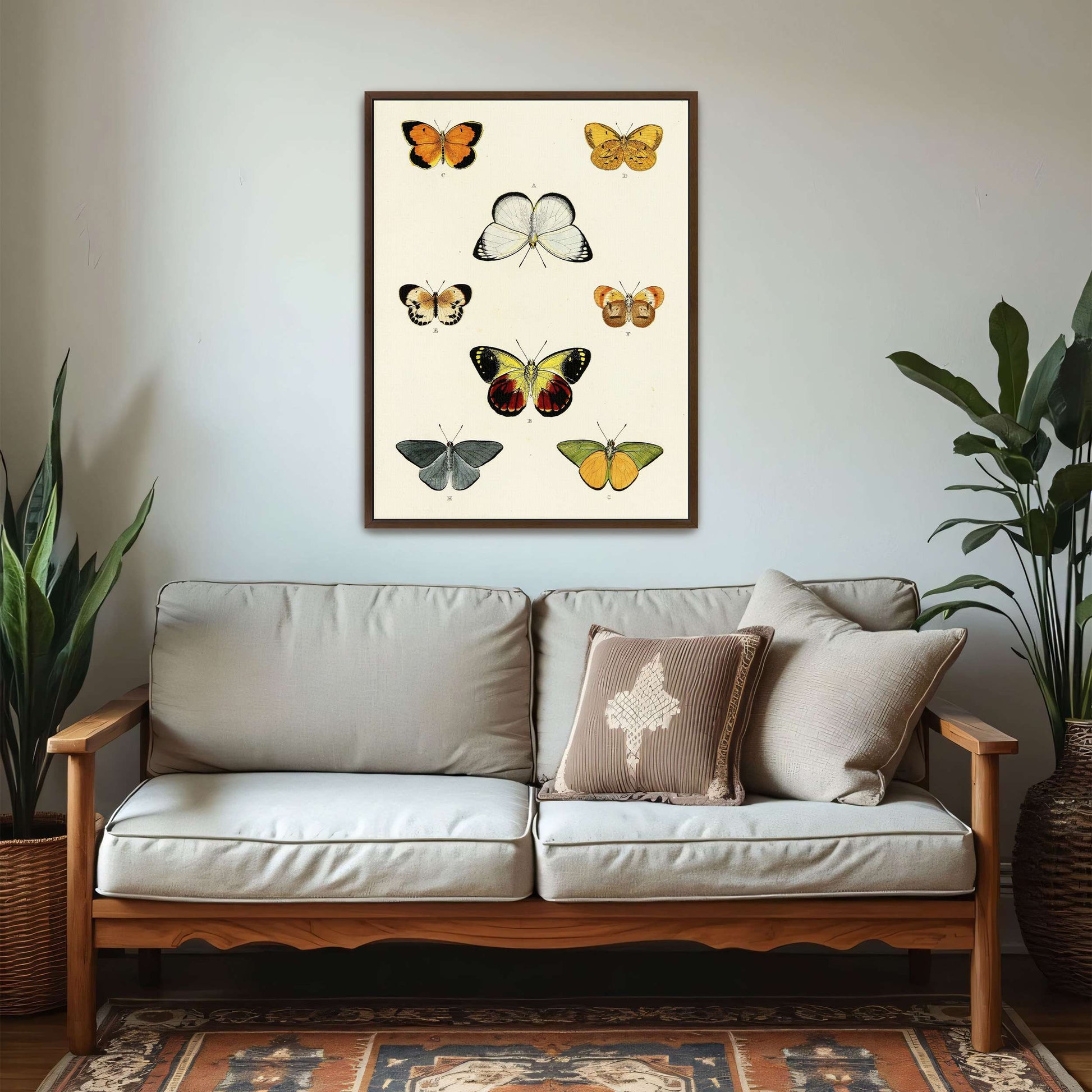 Collection of butterflies on a white page by Pieter Cramer